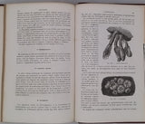 GERVAIS Paul "Éléments de Zoologie comprenant l'Anatomie, la Physiologie, la Classification et l'Histoire Naturelle des Animaux"