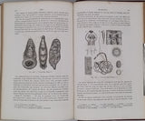 GERVAIS Paul "Éléments de Zoologie comprenant l'Anatomie, la Physiologie, la Classification et l'Histoire Naturelle des Animaux"