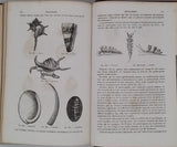 GERVAIS Paul "Éléments de Zoologie comprenant l'Anatomie, la Physiologie, la Classification et l'Histoire Naturelle des Animaux"