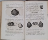 GERVAIS Paul "Éléments de Zoologie comprenant l'Anatomie, la Physiologie, la Classification et l'Histoire Naturelle des Animaux"