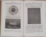 GERVAIS Paul "Éléments de Zoologie comprenant l'Anatomie, la Physiologie, la Classification et l'Histoire Naturelle des Animaux"