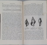 LYELL Charles (Sir) "Abrégé des éléments de géologie"