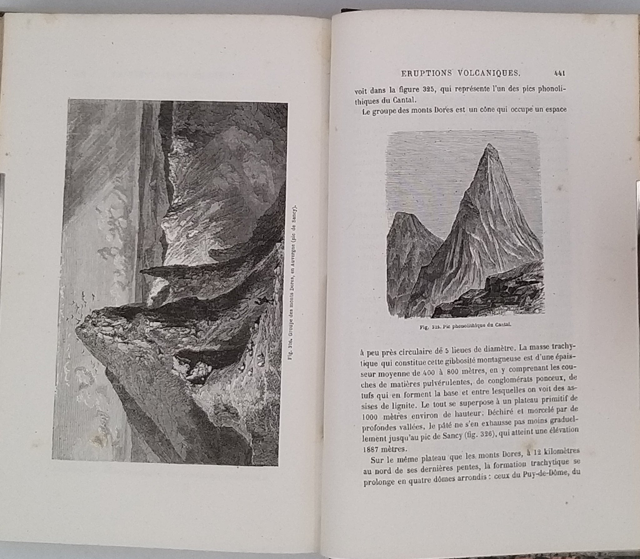 File:La terre avant le déluge, 1863 Encrinus entrocha, Myophoria lineata, Stell File:La terre avant le déluge, 1863 Encrinus entrocha, Myophoria lineata, Stell