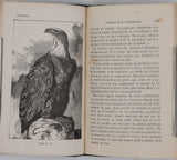 SACHOT Octave "Curiosités zoologiques"