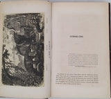 ZIMMERMANN W.-F.-A. [Pseudonyme de Carl Gottfried Wilhelm VOLLMER] "Le Monde avant la création de l'Homme ou le berceau de l'Univers - Histoire populaire de la création et des transformations du globe, racontée aux gens du monde"