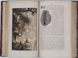 ZIMMERMANN W.-F.-A. [Pseudonyme de Carl Gottfried Wilhelm VOLLMER] "Le Monde avant la création de l'Homme ou le berceau de l'Univers - Histoire populaire de la création et des transformations du globe, racontée aux gens du monde"