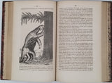 ZIMMERMANN W.-F.-A. [Pseudonyme de Carl Gottfried Wilhelm VOLLMER] "Le Monde avant la création de l'Homme ou le berceau de l'Univers - Histoire populaire de la création et des transformations du globe, racontée aux gens du monde"