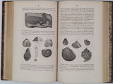 ZIMMERMANN W.-F.-A. [Pseudonyme de Carl Gottfried Wilhelm VOLLMER] "Le Monde avant la création de l'Homme ou le berceau de l'Univers - Histoire populaire de la création et des transformations du globe, racontée aux gens du monde"