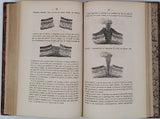 ZIMMERMANN W.-F.-A. [Pseudonyme de Carl Gottfried Wilhelm VOLLMER] "Le Monde avant la création de l'Homme ou le berceau de l'Univers - Histoire populaire de la création et des transformations du globe, racontée aux gens du monde"