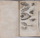 MILNE-EDWARDS Henri, COMTE Achille "Cahiers d'Histoire Naturelle. 1er Cahier - Zoologie"