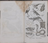 MILNE-EDWARDS Henri, COMTE Achille "Cahiers d'Histoire Naturelle. 1er Cahier - Zoologie"