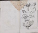 MILNE-EDWARDS Henri, COMTE Achille "Cahiers d'Histoire Naturelle. 1er Cahier - Zoologie"