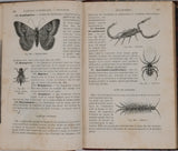 MILNE-EDWARDS Alphonse "Précis d'histoire naturelle"