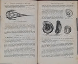 MILNE-EDWARDS Alphonse "Précis d'histoire naturelle"