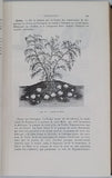 PENNETIER Georges "LEÇONS SUR LES MATIÈRES PREMIÈRES ORGANIQUES Origine-Provenance-Caractères-Composition-Sortes commerciales-Altérations naturelles-Falsifications et moyens de les reconnaître-Usages"