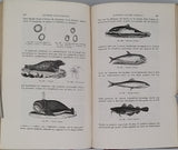 PENNETIER Georges "LEÇONS SUR LES MATIÈRES PREMIÈRES ORGANIQUES Origine-Provenance-Caractères-Composition-Sortes commerciales-Altérations naturelles-Falsifications et moyens de les reconnaître-Usages"