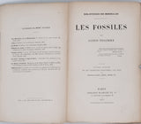 TISSANDIER Gaston "Les Fossiles"