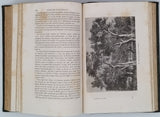 FIGUIER Louis "Histoire des plantes"