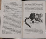 [Anonyme] "Eléments d'Histoire Naturelle (L'homme et les animaux) - Cours professé aux élèves de la Congrégation de Notre-Dame - Ouvrage approuvé et recommandé par Mgr l'évêque de Rodez"