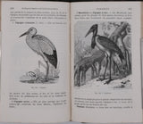 [Anonyme] "Eléments d'Histoire Naturelle (L'homme et les animaux) - Cours professé aux élèves de la Congrégation de Notre-Dame - Ouvrage approuvé et recommandé par Mgr l'évêque de Rodez"