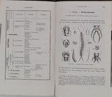 [Anonyme] "Eléments d'Histoire Naturelle (L'homme et les animaux) - Cours professé aux élèves de la Congrégation de Notre-Dame - Ouvrage approuvé et recommandé par Mgr l'évêque de Rodez"