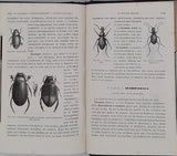 [Anonyme] "Eléments d'Histoire Naturelle (L'homme et les animaux) - Cours professé aux élèves de la Congrégation de Notre-Dame - Ouvrage approuvé et recommandé par Mgr l'évêque de Rodez"