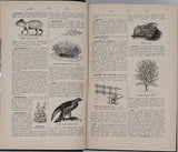 BOUANT Émile "Dictionnaire manuel illustré des Sciences usuelles"