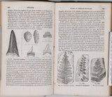 BEUDANT François-Sulpice "Cours élémentaire d'histoire naturelle à l'usage des lycées collèges, séminaires et maisons d'éducation : Géologie et Minéralogie"