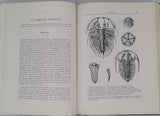 TERMIER Henri, TERMIER Geneviève "HISTOIRE GÉOLOGIQUE DE LA BIOSPHÈRE LA VIE ET LES SÉDIMENTS DANS LES GÉOGRAPHIES SUCCESSIVES"