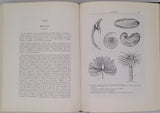 TERMIER Henri, TERMIER Geneviève "HISTOIRE GÉOLOGIQUE DE LA BIOSPHÈRE LA VIE ET LES SÉDIMENTS DANS LES GÉOGRAPHIES SUCCESSIVES"