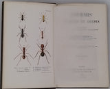 LUBBOCK John (Sir) "Fourmis Abeilles et Guêpes études expérimentales sur l'Organisation et les Moeurs des Sociétés d'Insectes Hyménoptères"