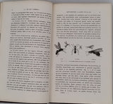 LUBBOCK John (Sir) "Fourmis Abeilles et Guêpes études expérimentales sur l'Organisation et les Moeurs des Sociétés d'Insectes Hyménoptères"