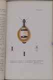 LUBBOCK John (Sir) "Fourmis Abeilles et Guêpes études expérimentales sur l'Organisation et les Moeurs des Sociétés d'Insectes Hyménoptères"