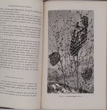 LUBBOCK John (Sir) "Fourmis Abeilles et Guêpes études expérimentales sur l'Organisation et les Moeurs des Sociétés d'Insectes Hyménoptères"