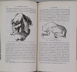 SCHMIDT Oscar "Les Mammifères dans leurs rapports avec leurs ancêtres géologiques"