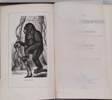 HARTMANN Robert "Les Singes anthropoïdes et leur organisation comparée à celle de l'Homme"