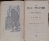 HARTMANN Robert "Les Singes anthropoïdes et leur organisation comparée à celle de l'Homme"