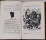 HARTMANN Robert "Les Singes anthropoïdes et leur organisation comparée à celle de l'Homme"