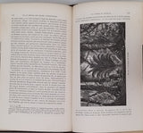 HARTMANN Robert "Les Singes anthropoïdes et leur organisation comparée à celle de l'Homme"