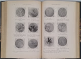 DOURIS Roger "TOXICOLOGIE MODERNE A L'USAGE DES ÉTUDIANTS EN MÉDECINE ET EN PHARMACIE DES MÉDECINS LÉGISTES ET DES CHIMISTES EXPERTS"