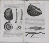 MILNE-EDWARDS Henri, JUSSIEU Adrien de, BEUDANT François-Sulpice "Cours élémentaire d'histoire naturelle - Zoologie - Botanique - Minéralogie et Géologie" [4 Tomes en 3 Volumes]