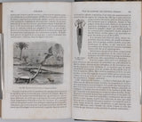 MILNE-EDWARDS Henri, JUSSIEU Adrien de, BEUDANT François-Sulpice "Cours élémentaire d'histoire naturelle - Zoologie - Botanique - Minéralogie et Géologie" [4 Tomes en 3 Volumes]