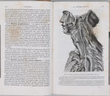 MILNE-EDWARDS Henri, JUSSIEU Adrien de, BEUDANT François-Sulpice "Cours élémentaire d'histoire naturelle - Zoologie - Botanique - Minéralogie et Géologie" [4 Tomes en 3 Volumes]