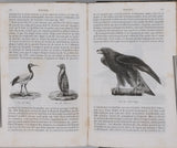 MILNE-EDWARDS Henri, JUSSIEU Adrien de, BEUDANT François-Sulpice "Cours élémentaire d'histoire naturelle - Zoologie - Botanique - Minéralogie et Géologie" [4 Tomes en 3 Volumes]