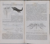 MILNE-EDWARDS Henri, JUSSIEU Adrien de, BEUDANT François-Sulpice "Cours élémentaire d'histoire naturelle - Zoologie - Botanique - Minéralogie et Géologie" [4 Tomes en 3 Volumes]