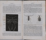 MILNE-EDWARDS Henri, JUSSIEU Adrien de, BEUDANT François-Sulpice "Cours élémentaire d'histoire naturelle - Zoologie - Botanique - Minéralogie et Géologie" [4 Tomes en 3 Volumes]