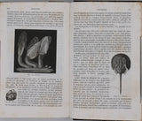 MILNE-EDWARDS Henri, JUSSIEU Adrien de, BEUDANT François-Sulpice "Cours élémentaire d'histoire naturelle - Zoologie - Botanique - Minéralogie et Géologie" [4 Tomes en 3 Volumes]