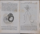 MILNE-EDWARDS Henri, JUSSIEU Adrien de, BEUDANT François-Sulpice "Cours élémentaire d'histoire naturelle - Zoologie - Botanique - Minéralogie et Géologie" [4 Tomes en 3 Volumes]