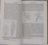 MILNE-EDWARDS Henri, JUSSIEU Adrien de, BEUDANT François-Sulpice "Cours élémentaire d'histoire naturelle - Zoologie - Botanique - Minéralogie et Géologie" [4 Tomes en 3 Volumes]