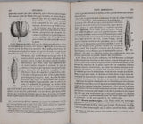 MILNE-EDWARDS Henri, JUSSIEU Adrien de, BEUDANT François-Sulpice "Cours élémentaire d'histoire naturelle - Zoologie - Botanique - Minéralogie et Géologie" [4 Tomes en 3 Volumes]